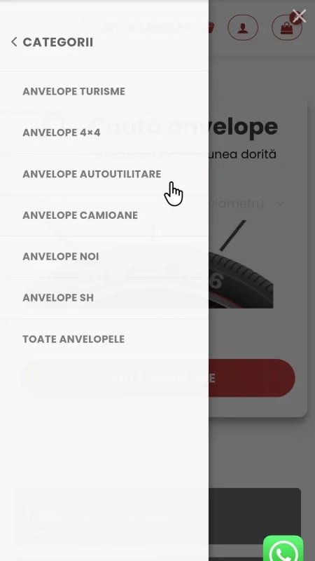 Anvelope pasi2